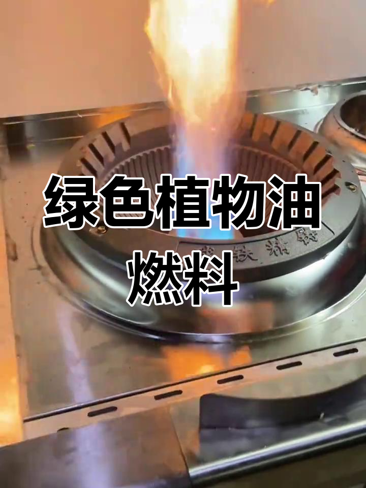 植物油燃料 环保新能源，节能又高效